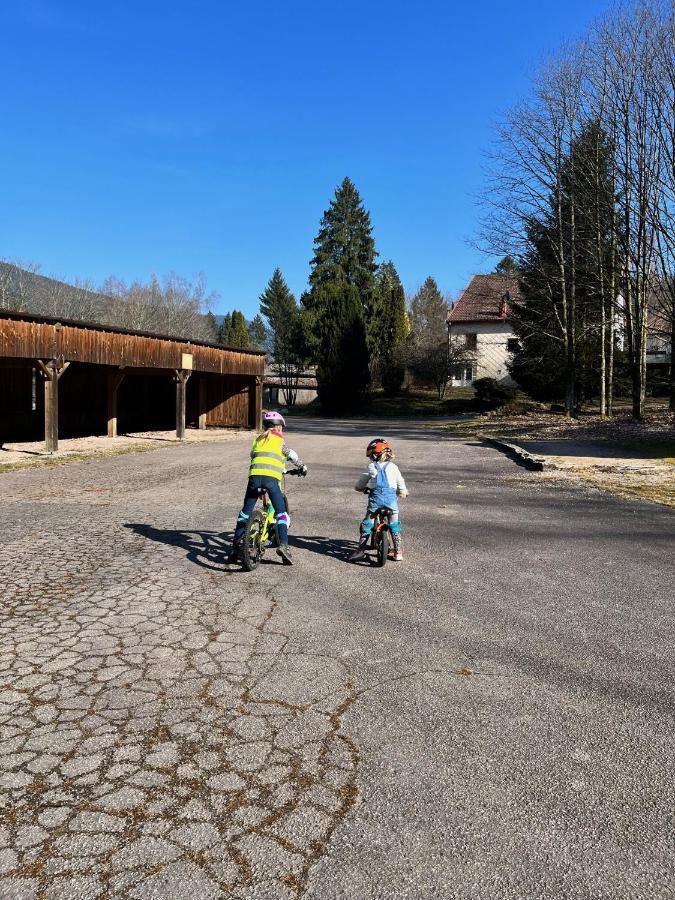 Ferme Des Jonquilles 15P - Billard, Ps4, Salle De Sport Gérardmer Buitenkant foto