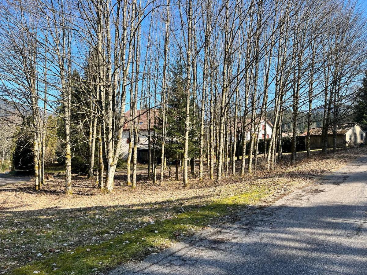 Ferme Des Jonquilles 15P - Billard, Ps4, Salle De Sport Gérardmer Buitenkant foto